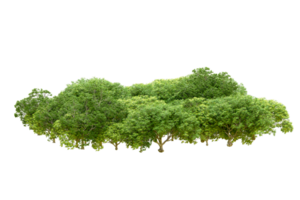 Green forest isolated on background. 3d rendering - illustration png