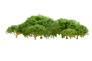 Grün Wald isoliert auf Hintergrund. 3d Rendern - - Illustration png