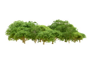 Green forest isolated on background. 3d rendering - illustration png