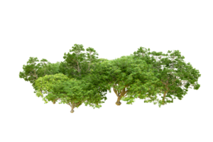 Green forest isolated on background. 3d rendering - illustration png