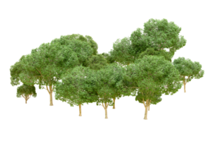 Green forest isolated on background. 3d rendering - illustration png