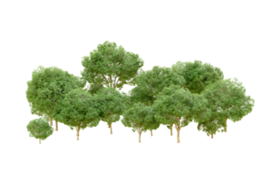 Green forest isolated on background. 3d rendering - illustration png