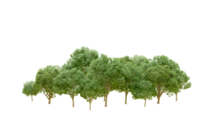 Green forest isolated on background. 3d rendering - illustration png