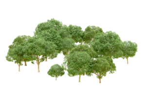 verde floresta isolado em fundo. 3d Renderização - ilustração png