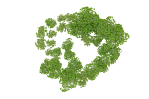 groen Woud geïsoleerd Aan achtergrond. 3d renderen - illustratie png