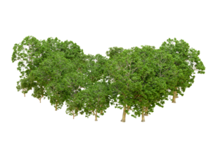 Green forest isolated on background. 3d rendering - illustration png