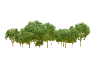 Green forest isolated on background. 3d rendering - illustration png