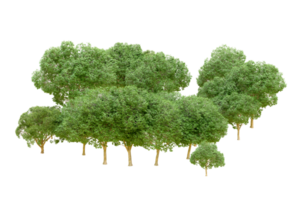 vert forêt isolé sur Contexte. 3d le rendu - illustration png