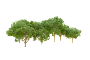 vert forêt isolé sur Contexte. 3d le rendu - illustration png