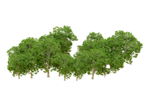 Green forest isolated on background. 3d rendering - illustration png