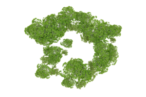 groen Woud geïsoleerd Aan achtergrond. 3d renderen - illustratie png