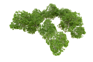 Grün Wald isoliert auf Hintergrund. 3d Rendern - - Illustration png