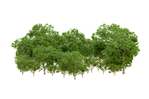 Green forest isolated on background. 3d rendering - illustration png