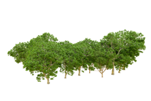 vert forêt isolé sur Contexte. 3d le rendu - illustration png