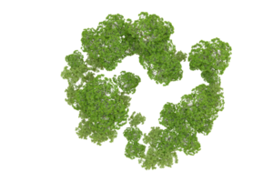 verde foresta isolato su sfondo. 3d interpretazione - illustrazione png