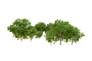 Green forest isolated on background. 3d rendering - illustration png