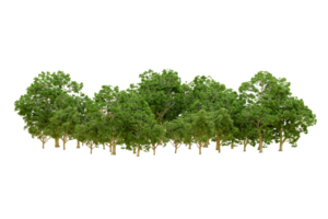 Green forest isolated on background. 3d rendering - illustration png