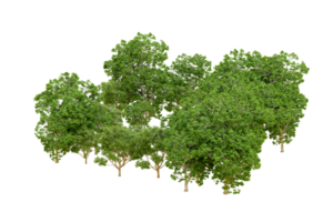 Green forest isolated on background. 3d rendering - illustration png