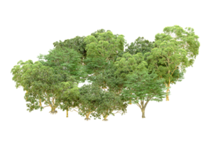 Green forest isolated on background. 3d rendering - illustration png