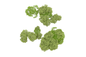 vert forêt isolé sur Contexte. 3d le rendu - illustration png