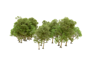 Green forest isolated on background. 3d rendering - illustration png