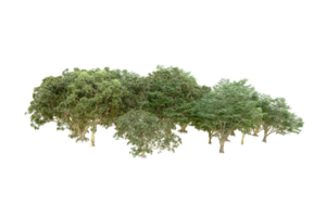 Green forest isolated on background. 3d rendering - illustration png