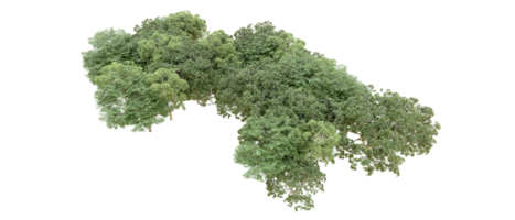 verde floresta isolado em fundo. 3d Renderização - ilustração png