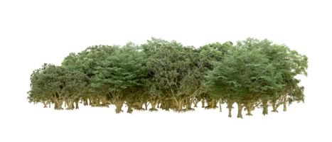 vert forêt isolé sur Contexte. 3d le rendu - illustration png