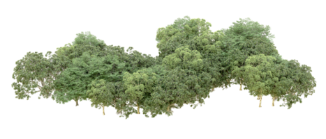 verde foresta isolato su sfondo. 3d interpretazione - illustrazione png