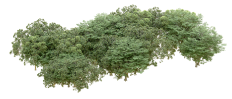 Green forest isolated on background. 3d rendering - illustration png