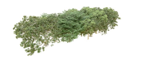 vert forêt isolé sur Contexte. 3d le rendu - illustration png