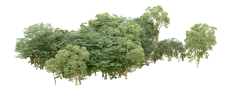 Grün Wald isoliert auf Hintergrund. 3d Rendern - - Illustration png