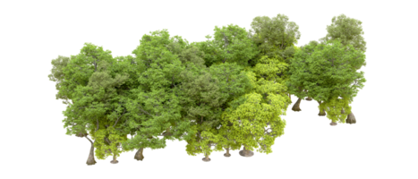 Green forest isolated on background. 3d rendering - illustration png