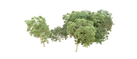 verde foresta isolato su sfondo. 3d interpretazione - illustrazione png