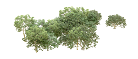 Grün Wald isoliert auf Hintergrund. 3d Rendern - - Illustration png