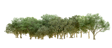 Grün Wald isoliert auf Hintergrund. 3d Rendern - - Illustration png