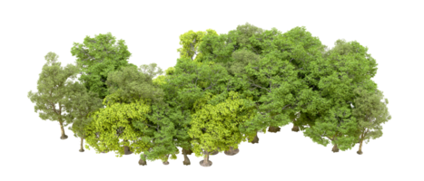 Green forest isolated on background. 3d rendering - illustration png