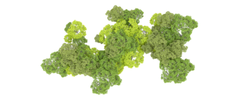 Green forest isolated on background. 3d rendering - illustration png