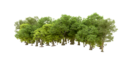 Green forest isolated on background. 3d rendering - illustration png