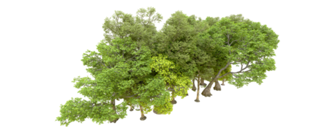 Green forest isolated on background. 3d rendering - illustration png