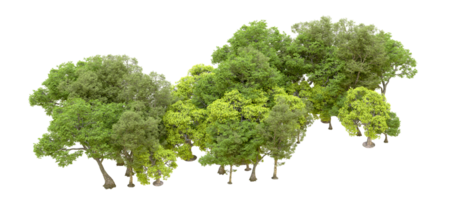 Green forest isolated on background. 3d rendering - illustration png