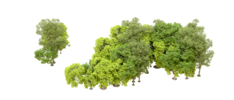 Green forest isolated on background. 3d rendering - illustration png