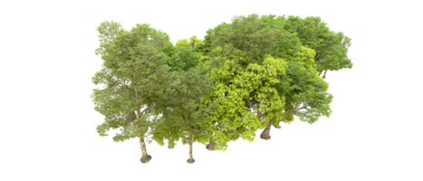 Green forest isolated on background. 3d rendering - illustration png
