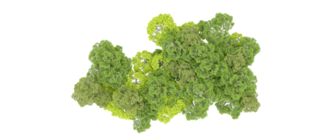 verde floresta isolado em fundo. 3d Renderização - ilustração png