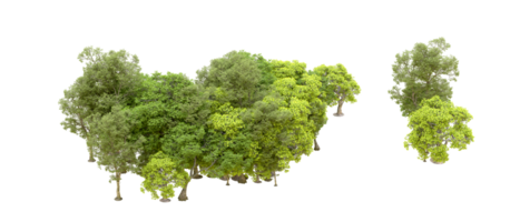 Green forest isolated on background. 3d rendering - illustration png