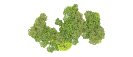 Green forest isolated on background. 3d rendering - illustration png
