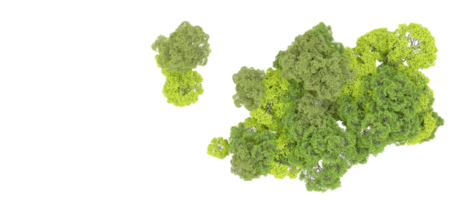 verde bosque aislado en antecedentes. 3d representación - ilustración png