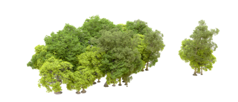 Green forest isolated on background. 3d rendering - illustration png