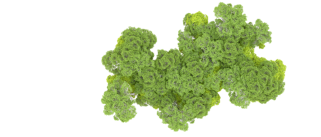 vert forêt isolé sur Contexte. 3d le rendu - illustration png