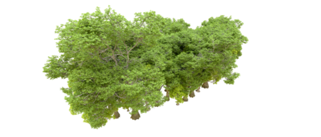 Green forest isolated on background. 3d rendering - illustration png